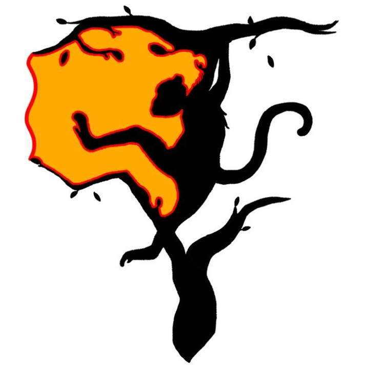 Trắc nghiệm tính cách: Bạn thấy khỉ hay chúa sơn lâm đầu tiên? - 2