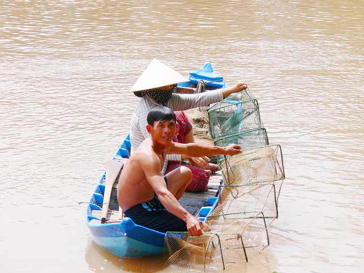 Vào mùa 'hái lộc dưới sông' - 1