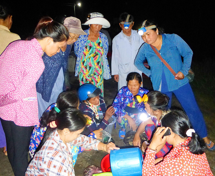 Vào mùa 'hái lộc dưới sông' - 3