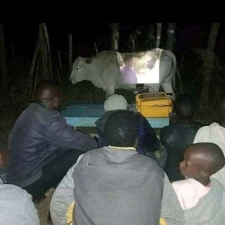 Hình ảnh hài hước khi con người 'sử dụng 100% não bộ' để ứng phó với cuộc sống - 4