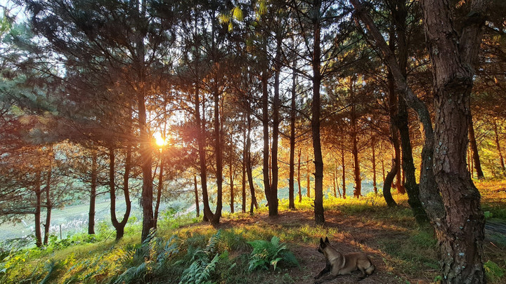 Thả hồn 'chill' cùng bản làng H’Mông thanh bình đẹp như tranh vẽ ở Vân Hồ - 4