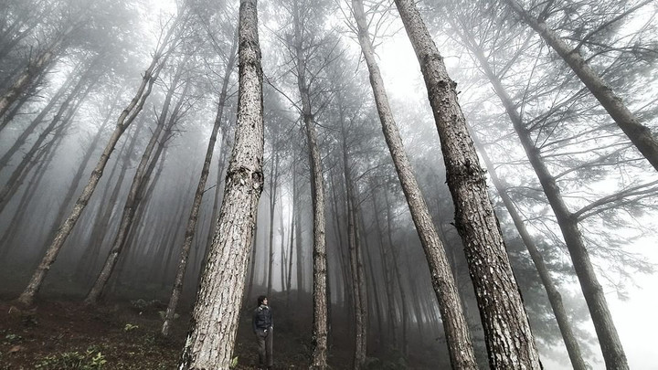 Thả hồn 'chill' cùng bản làng H’Mông thanh bình đẹp như tranh vẽ ở Vân Hồ - 6
