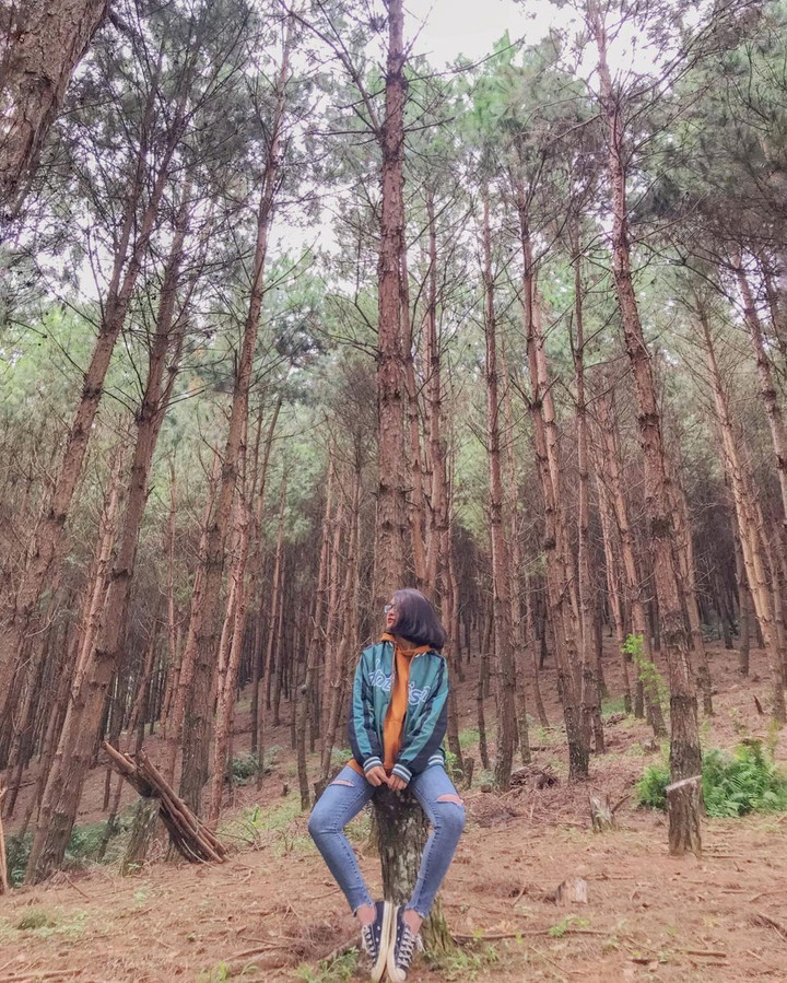 Thả hồn 'chill' cùng bản làng H’Mông thanh bình đẹp như tranh vẽ ở Vân Hồ - 7