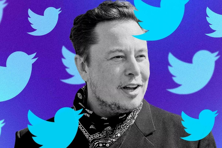 Elon Musk xem xét mở lại tài khoản Twitter cho cựu Tổng thống Trump - 1