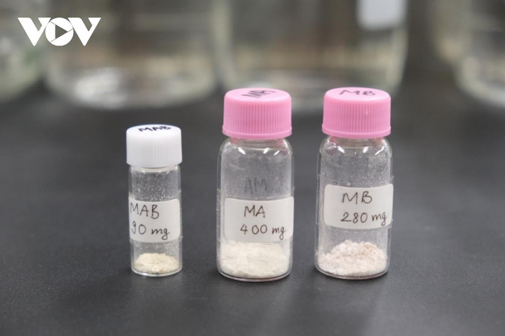 Nhà khoa học Việt Nam phát hiện chất chống ung thư máu trong lúa, gạo - 3