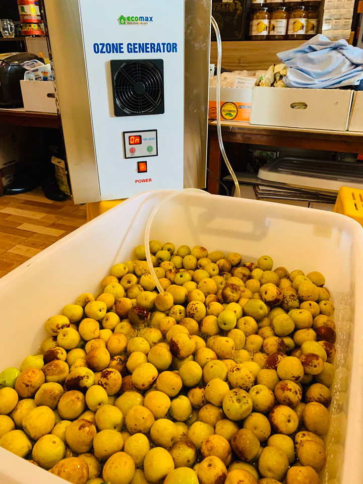 Công dụng máy ozone: Làm sạch thực phẩm, diệt khuẩn nước sinh hoạt - 1