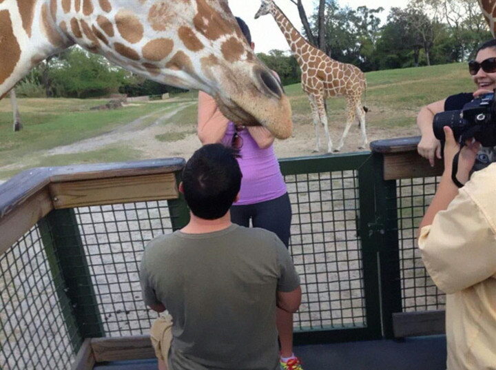 Cười ngất trước biểu cảm khó đỡ của động vật khi được phát 'cẩu lương' - 5