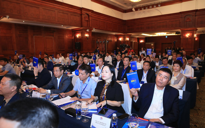 Hôm nay, Đại hội Liên đoàn Bóng đá Việt Nam bầu chủ tịch mới - 2