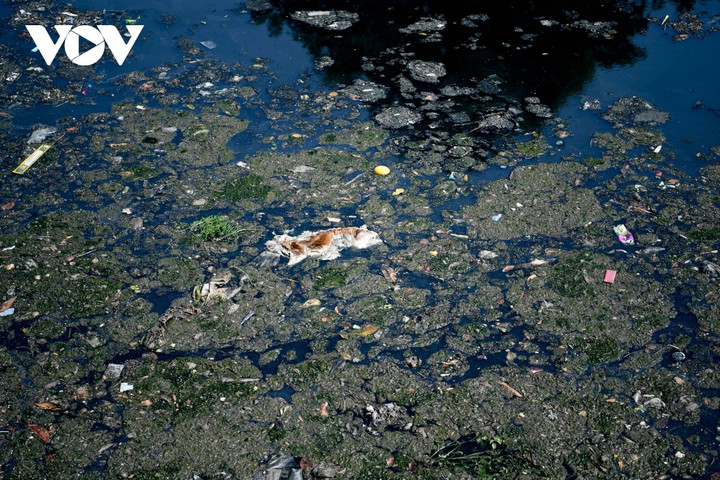 Cận cảnh 4 dòng sông Hà Nội muốn hồi sinh để tăng khả năng thoát nước - 14