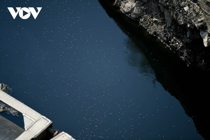 Cận cảnh 4 dòng sông Hà Nội muốn hồi sinh để tăng khả năng thoát nước - 15