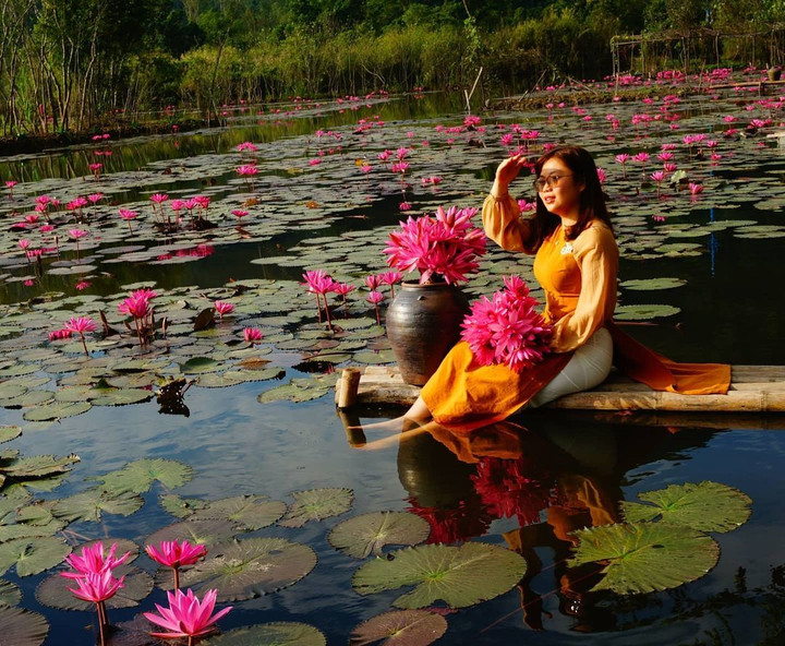 Check-in hoa súng nở rộ rực rỡ tại dòng suối xinh đẹp ở vùng ngoại thành Hà Nội - 5