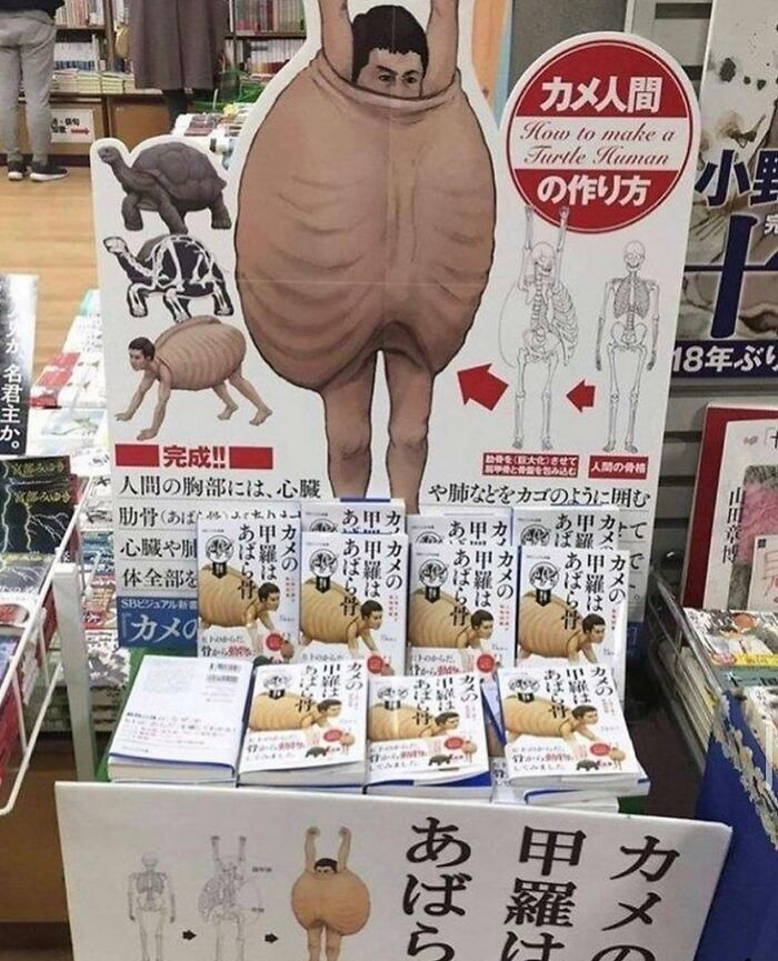 Đứng ngồi không yên với những bức ảnh vừa khó hiểu vừa gây khó chịu - 11