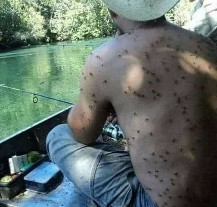 Đứng ngồi không yên với những bức ảnh vừa khó hiểu vừa gây khó chịu - 1