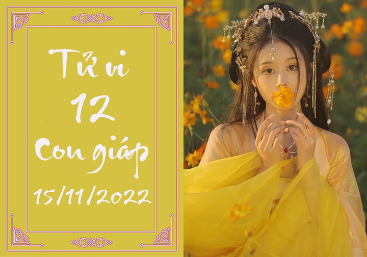 Tử vi vui 12 con giáp hôm nay thứ Ba 15/11: Hợi đổi vận giàu có, Thìn hốt bạc - 1
