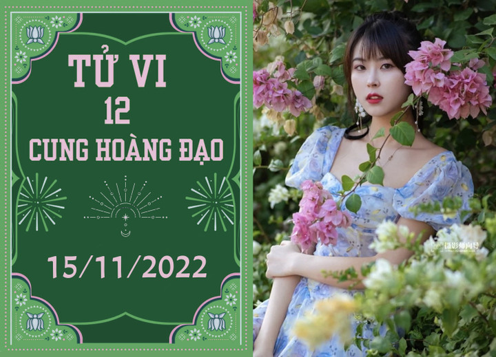 Tử vi vui 12 cung hoàng đạo15/11: Cự Giải vượt khó, Thiên Bình gặp dữ hóa lành - 1