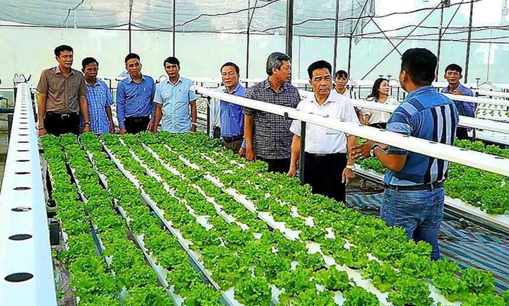 Đẩy mạnh chuyển đổi số để các hợp tác xã phát triển bền vững - 2