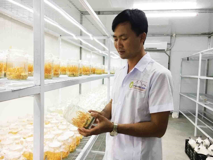 Đẩy mạnh chuyển đổi số để các hợp tác xã phát triển bền vững - 1