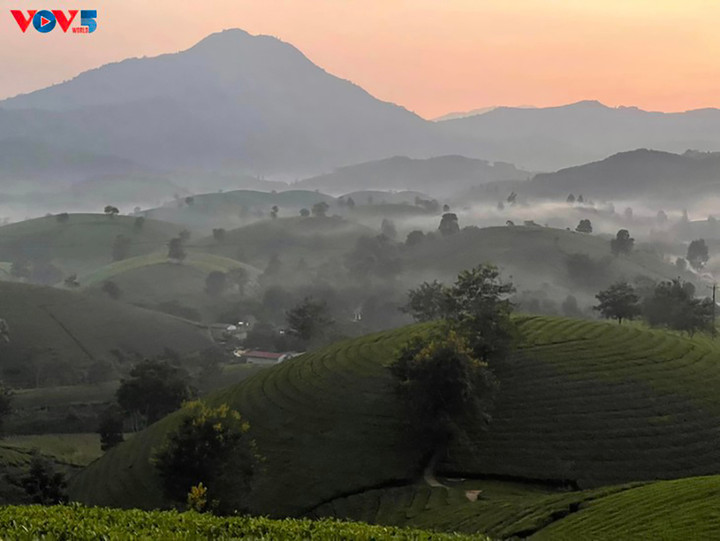 Vẻ đẹp Long Cốc mùa đẹp nhất trong năm - 1