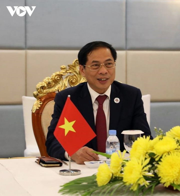 Bộ trưởng Bùi Thanh Sơn gặp Bộ trưởng Ngoại giao Nga và Ukraine - 1