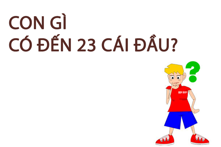 Con gì có đến 23 cái đầu? - 1