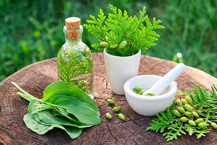 VPO Pharco ứng dụng dược liệu tự nhiên vào y học hiện đại - 2