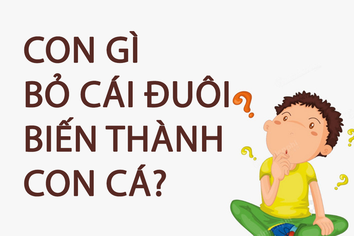 Con gì bỏ đuôi biến thành con cá? - 1