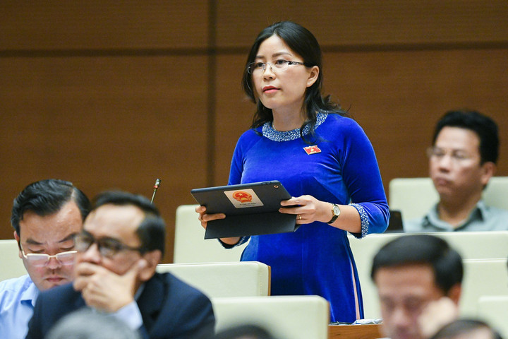 Đại biểu Quốc hội: Nghĩ đến giá đất, nhiều người muốn mua lại 'lạnh' người - 2