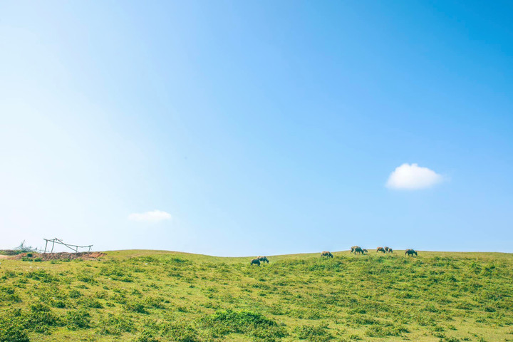 Đắm chìm trong thảo nguyên xanh mướt ‘không tì vết’ ở Bắc Kạn - 5