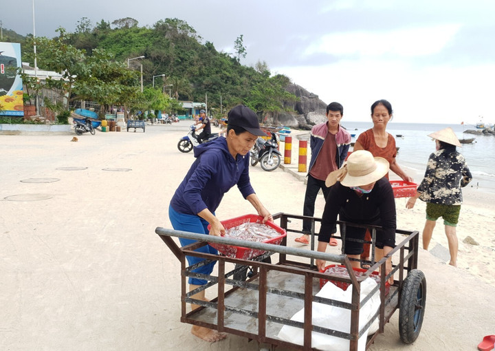 Người dân đảo Cù Lao Chàm 'tẩy chay' ống hút nhựa, chai nhựa, túi ni lông - 3