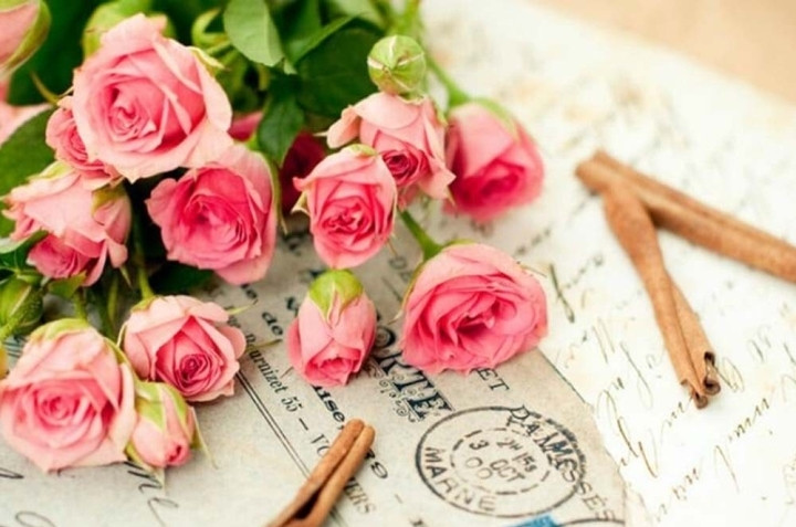 Gợi ý quà tặng Ngày Nhà giáo Việt Nam 20/11 vừa ý nghĩa vừa hợp túi tiền - 1