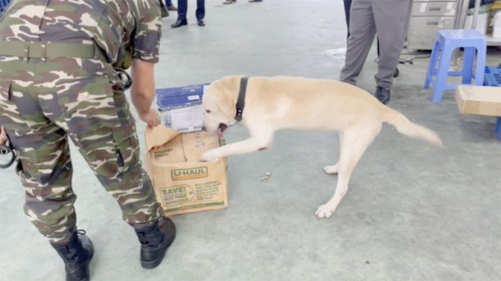 Hải quan phát hiện gần 26kg ma tuý từ Mỹ, Đức gửi về Việt Nam qua đường sân bay - 1