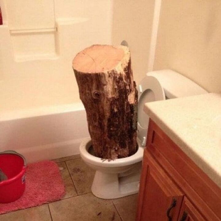 Những bức ảnh đập tan cơn buồn chán bởi sự kỳ quặc đến khó hiểu - 1