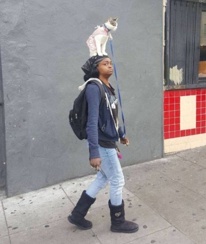 Những bức ảnh đập tan cơn buồn chán bởi sự kỳ quặc đến khó hiểu - 5