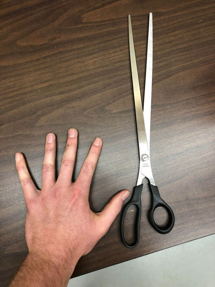 Những bức ảnh đập tan cơn buồn chán bởi sự kỳ quặc đến khó hiểu - 2