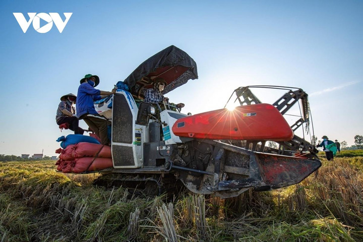 Nông dân ngoại thành Hà Nội đốt rơm rạ, khói mù mịt bủa vây người đi đường - 16