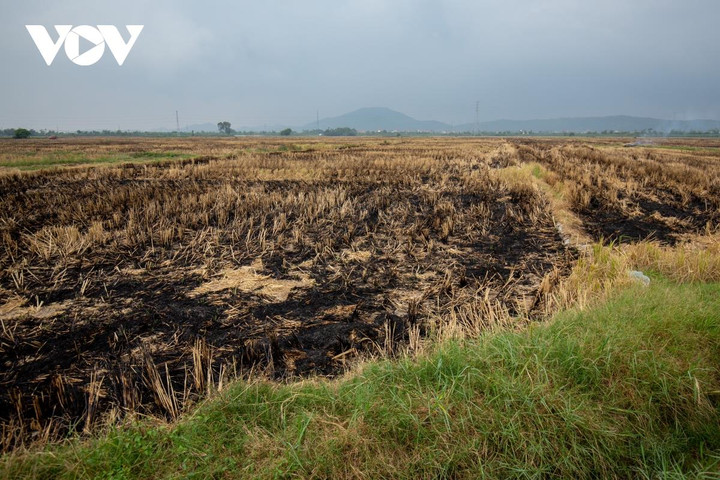 Nông dân ngoại thành Hà Nội đốt rơm rạ, khói mù mịt bủa vây người đi đường - 17