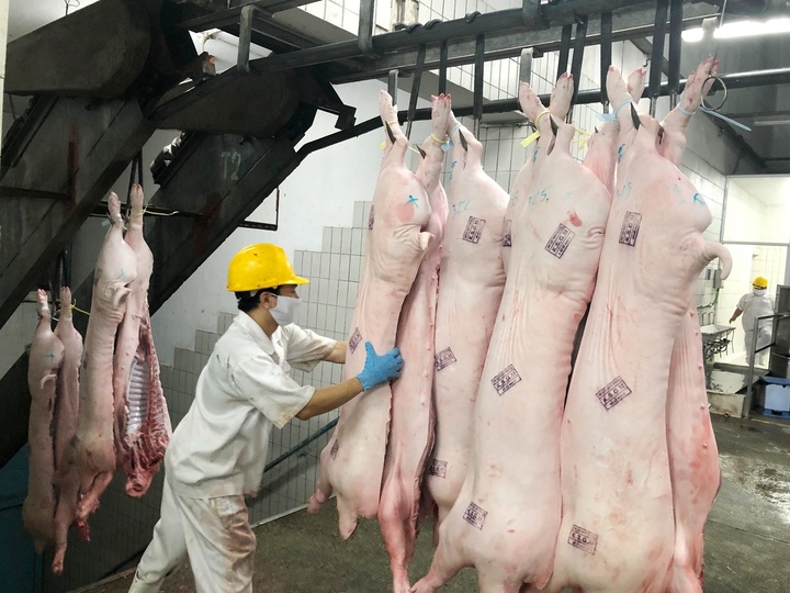 Giá heo hơi hôm nay 20/11: Ít biến động - 2
