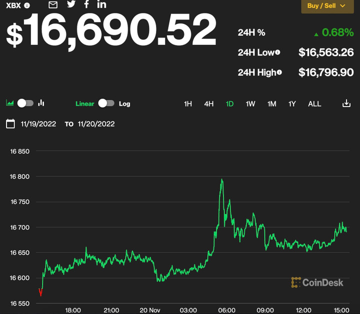 Giá Bitcoin hôm nay 21/11: Bitcoin và nhiều loại tiền điện tử tăng giá - 1