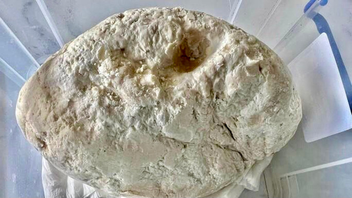 Ngư dân vớt được vật lạ nghi là long diên hương quý hiếm - 1