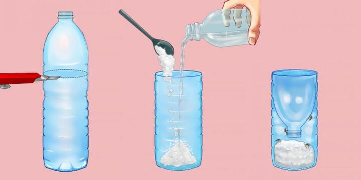 6 mẹo đuổi muỗi trong mùa dịch sốt xuất huyết - 3