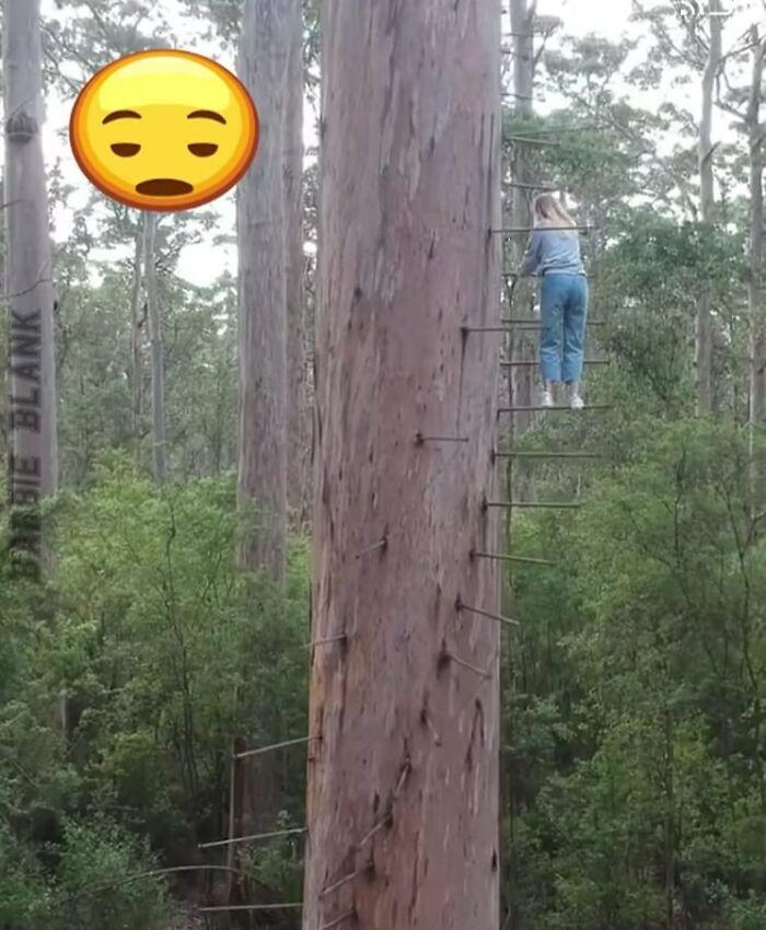 'Rụng rời chân tay' với những chiếc cầu thang 'tử thần' ít ai dám bước lên - 6