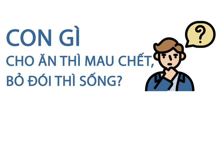 Con gì cho ăn thì mau chết, bỏ đói thì sống? - 1