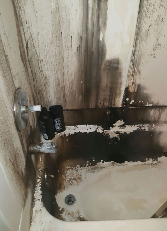 Tình cảnh gây choáng mà dân tình mắc phải khi chọn nhầm bạn cùng phòng - 1