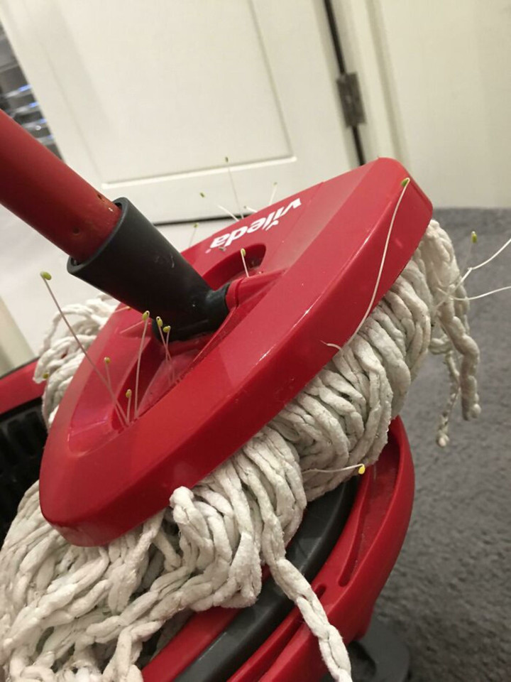 Tình cảnh gây choáng mà dân tình mắc phải khi chọn nhầm bạn cùng phòng - 3