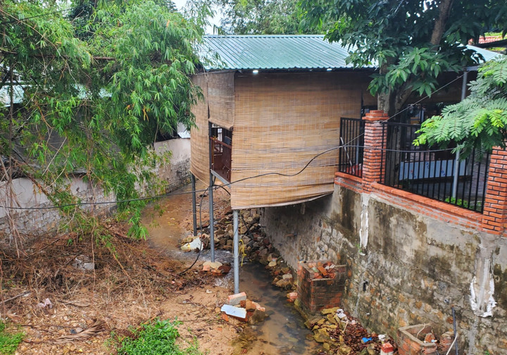 Quy Nhơn: Một phường có hơn 20 công trình trái phép trên đất nông, lâm nghiệp - 5