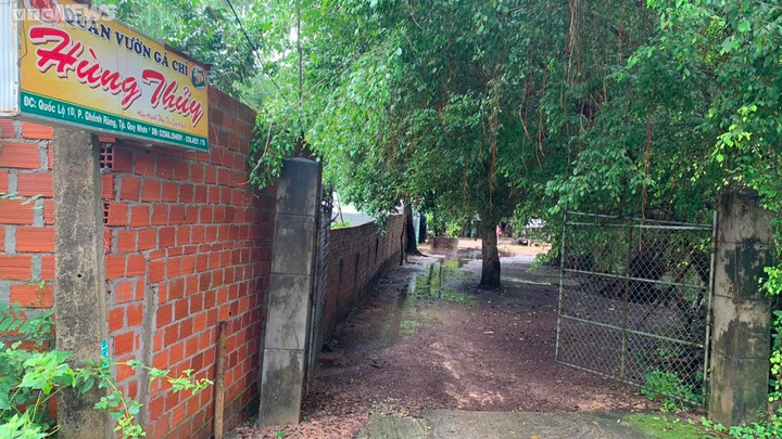 Quy Nhơn: Một phường có hơn 20 công trình trái phép trên đất nông, lâm nghiệp - 4