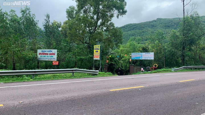 Quy Nhơn: Một phường có hơn 20 công trình trái phép trên đất nông, lâm nghiệp - 1