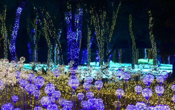 Lạc lối trong không gian lung linh tựa xứ sở thần tiên ở công viên Thái Lan - 3