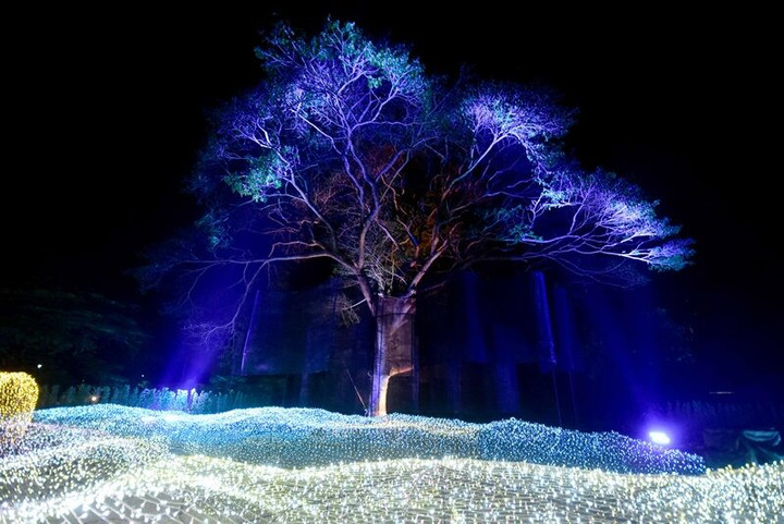 Lạc lối trong không gian lung linh tựa xứ sở thần tiên ở công viên Thái Lan - 1