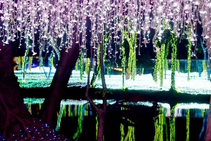 Lạc lối trong không gian lung linh tựa xứ sở thần tiên ở công viên Thái Lan - 4